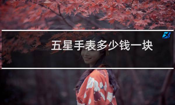 五星手表多少钱一块