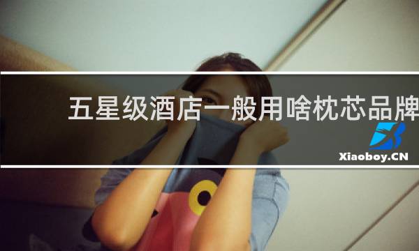 五星级酒店一般用啥枕芯品牌