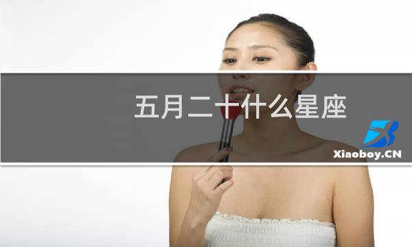 五月二十什么星座