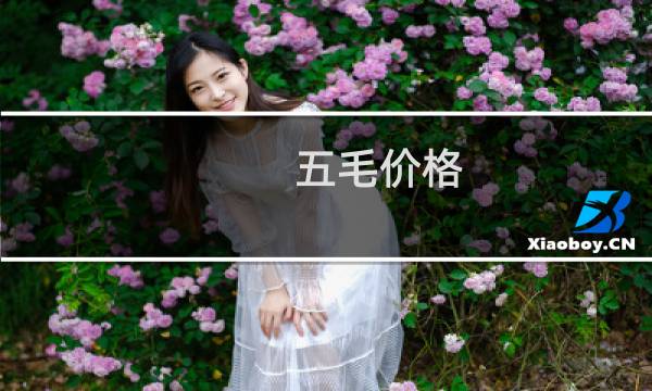 五毛价格