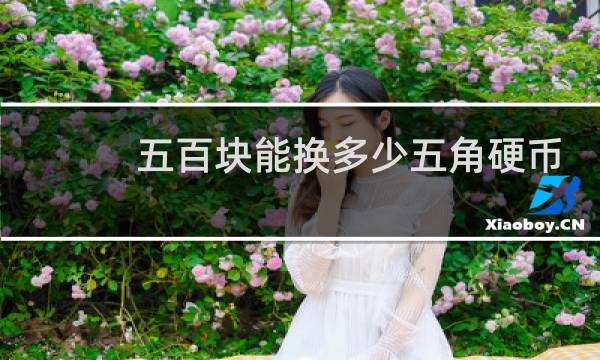 五百块能换多少五角硬币