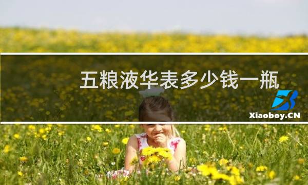 五粮液华表多少钱一瓶