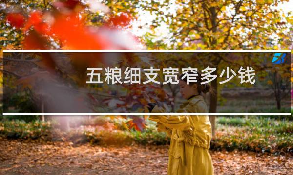 五粮细支宽窄多少钱