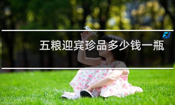 五粮迎宾珍品多少钱一瓶