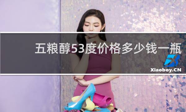 五粮醇53度价格多少钱一瓶