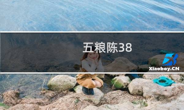 五粮陈38 价格