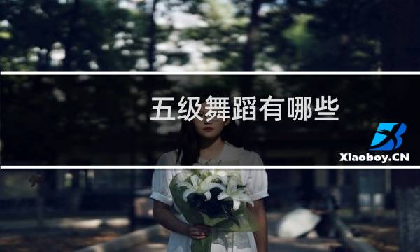 五级舞蹈有哪些