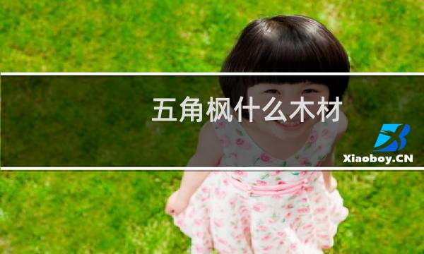 五角枫什么木材
