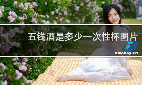 五钱酒是多少一次性杯图片