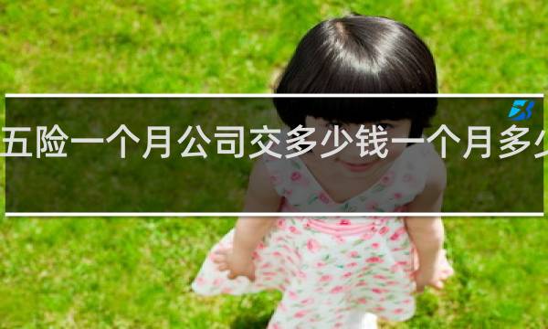 五险一个月公司交多少钱一个月多少钱啊