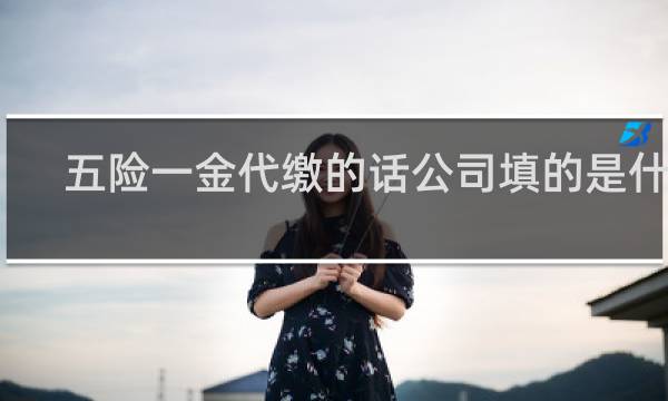 五险一金代缴的话公司填的是什么