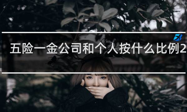 五险一金公司和个人按什么比例2020