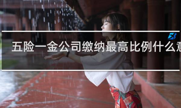 五险一金公司缴纳最高比例什么意思