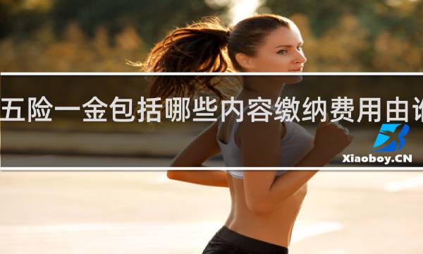 五险一金包括哪些内容缴纳费用由谁承担