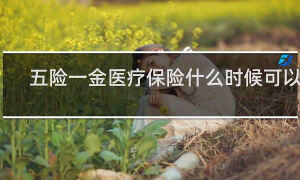 五险一金医疗保险什么时候可以用