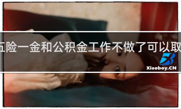 五险一金和公积金工作不做了可以取出来吗