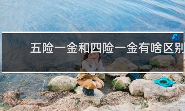 五险一金和四险一金有啥区别