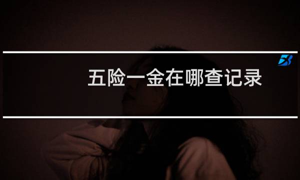 五险一金在哪查记录