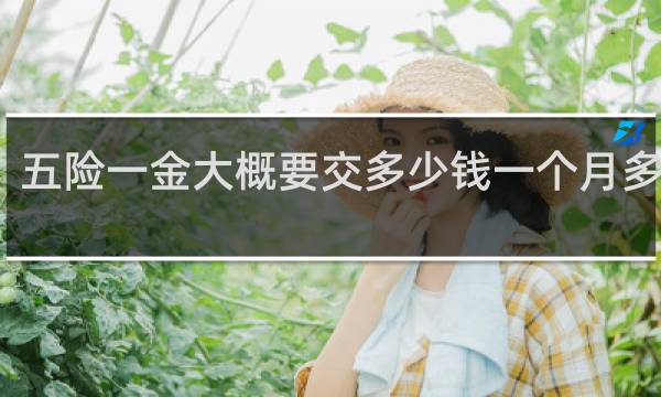 五险一金大概要交多少钱一个月多少钱