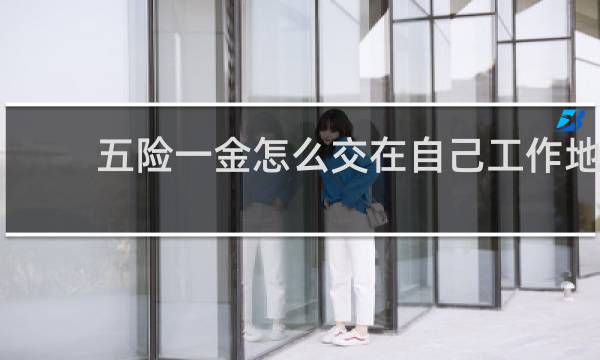 五险一金怎么交在自己工作地