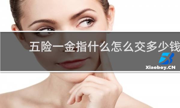 五险一金指什么怎么交多少钱
