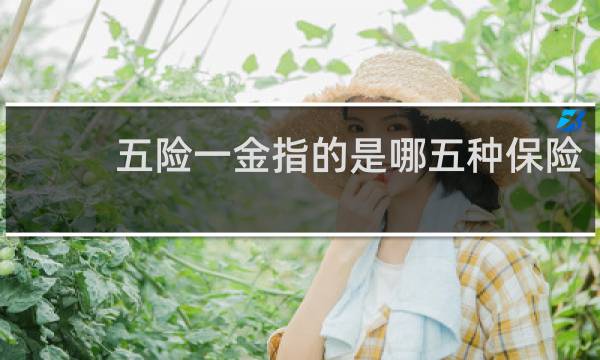 五险一金指的是哪五种保险