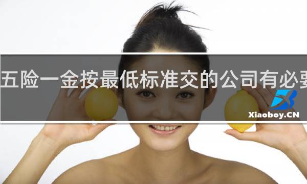 五险一金按最低标准交的公司有必要去吗