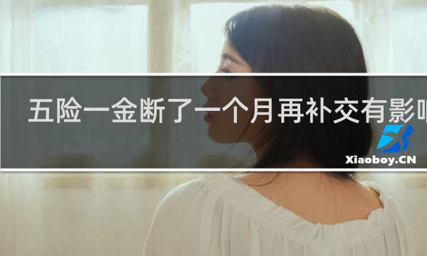 五险一金断了一个月再补交有影响吗