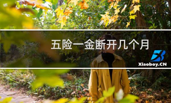 五险一金断开几个月