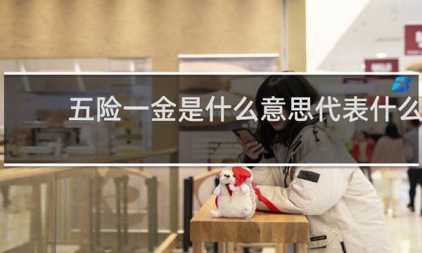 五险一金是什么意思代表什么