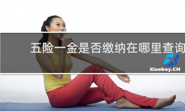 五险一金是否缴纳在哪里查询