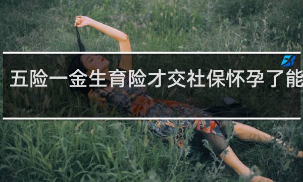 五险一金生育险才交社保怀孕了能用吗