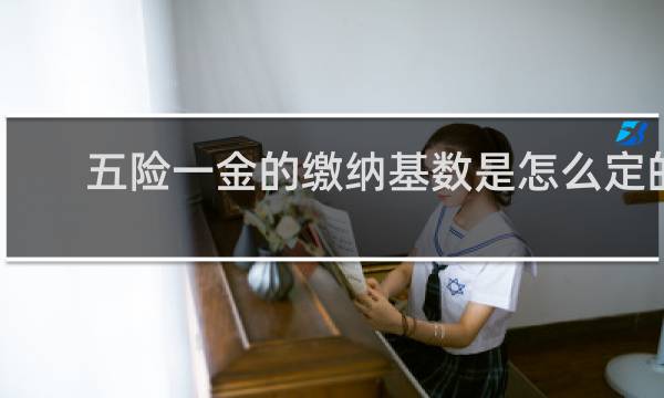 五险一金的缴纳基数是怎么定的