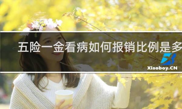 五险一金看病如何报销比例是多少