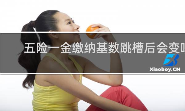 五险一金缴纳基数跳槽后会变吗