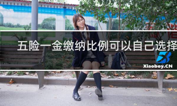 五险一金缴纳比例可以自己选择吗