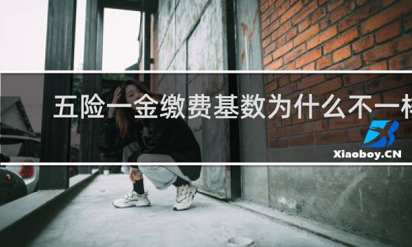 五险一金缴费基数为什么不一样