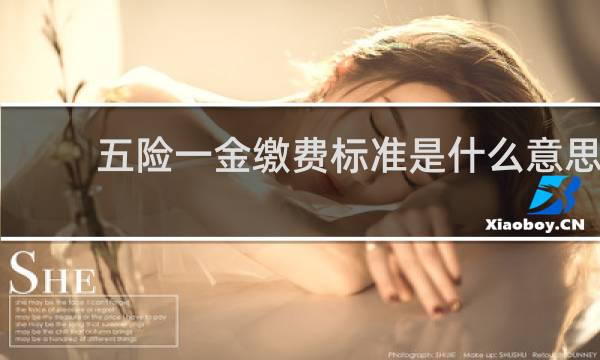 五险一金缴费标准是什么意思