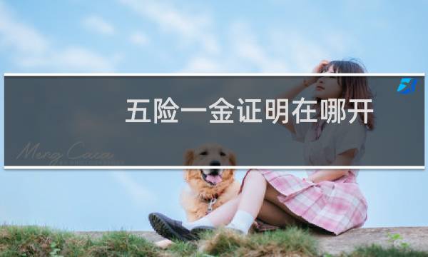 五险一金证明在哪开
