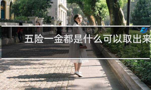 五险一金都是什么可以取出来