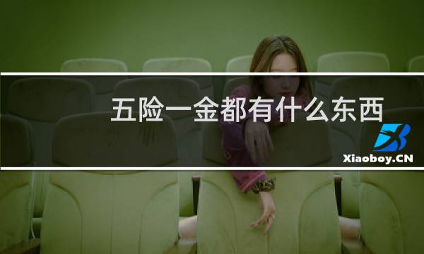 五险一金都有什么东西