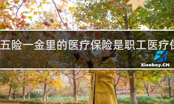 五险一金里的医疗保险是职工医疗保险吗