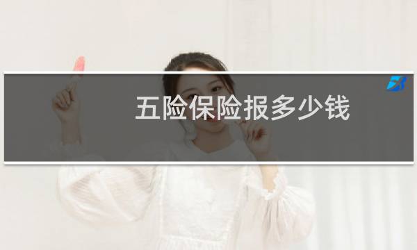 五险保险报多少钱