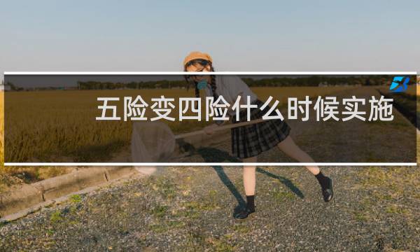 五险变四险什么时候实施