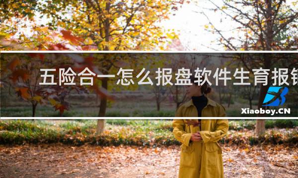 五险合一怎么报盘软件生育报销