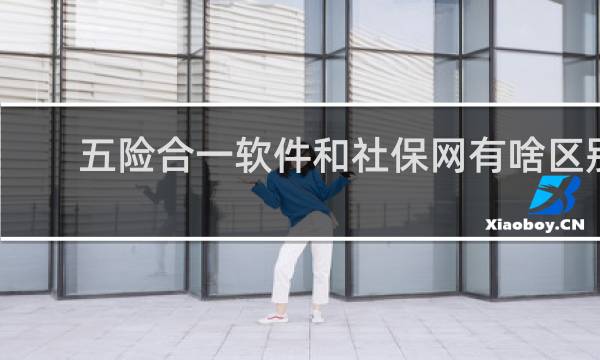 五险合一软件和社保网有啥区别