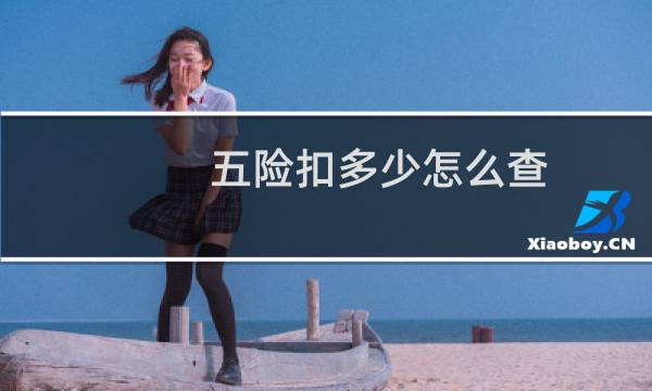 五险扣多少怎么查