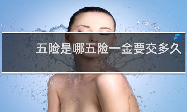 五险是哪五险一金要交多久