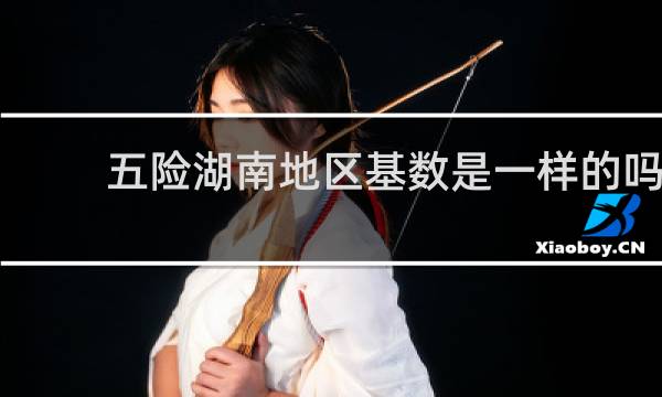 五险湖南地区基数是一样的吗