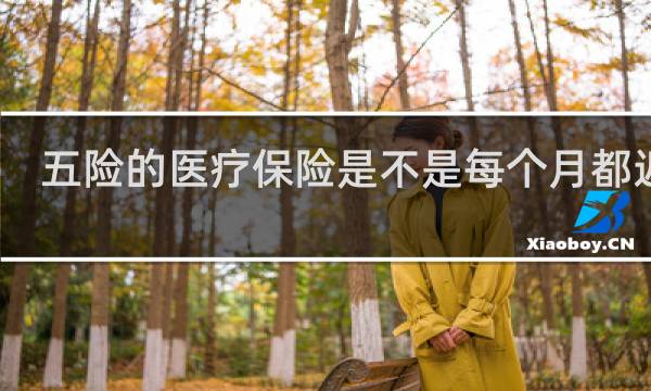 五险的医疗保险是不是每个月都返钱